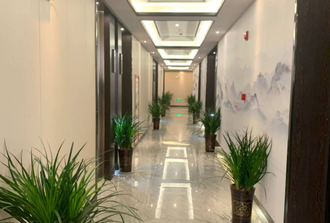 倍放松按摩SPA